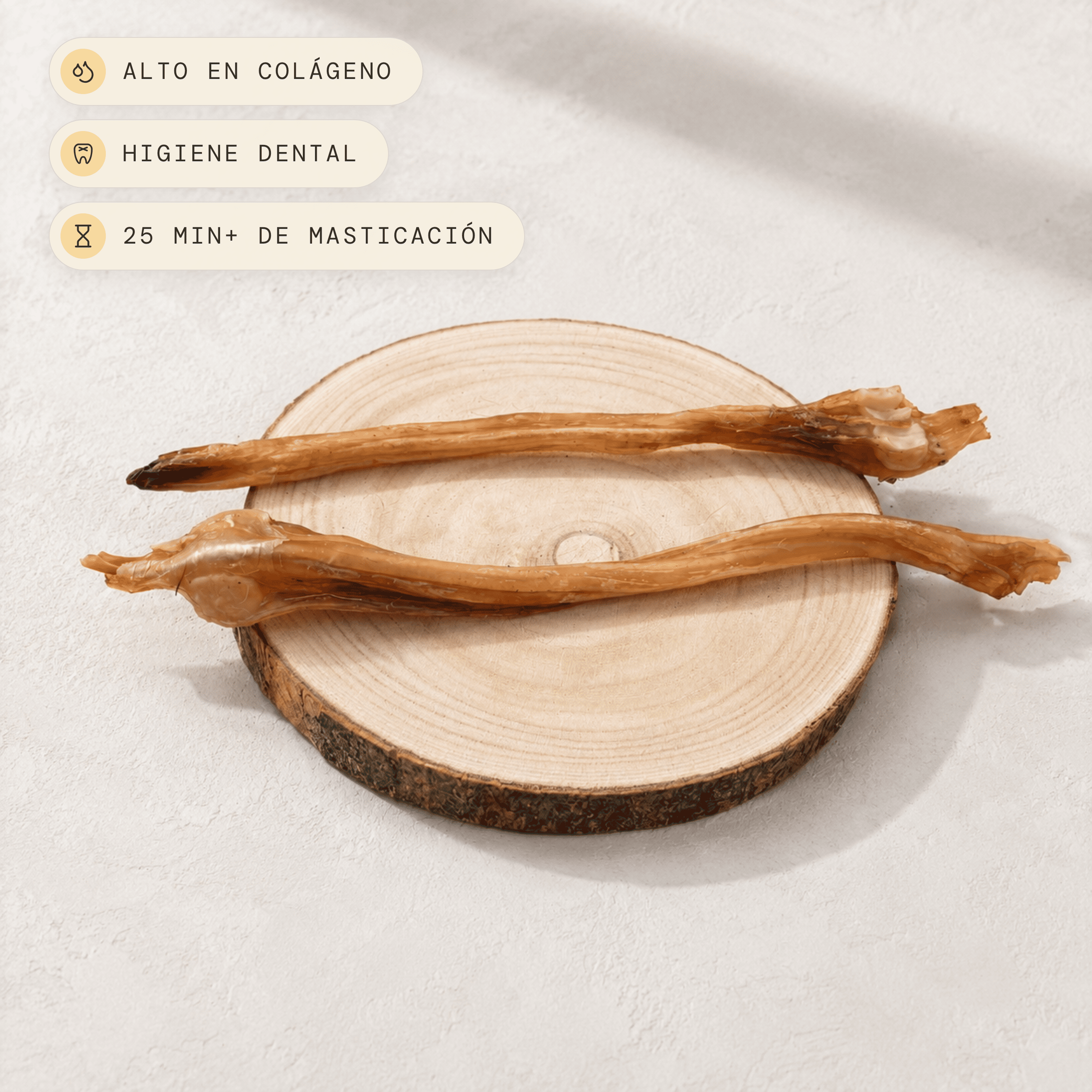 Tendons de cama de cérvol